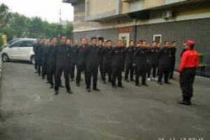 perkasa 6